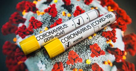 Koronawirus zmutował w 3 różne typy SARS-CoV-2. Nowe wyniki badań