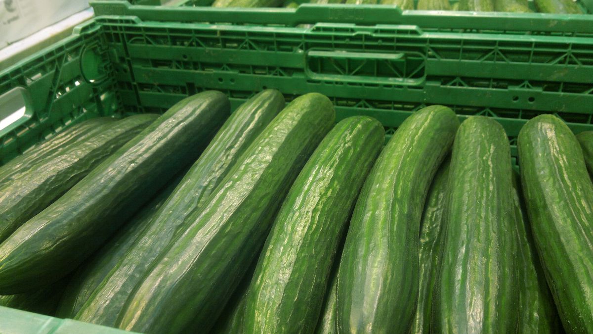 Rosyjskie ogórki zalewają Polskę