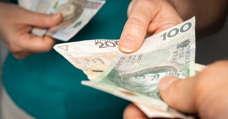 ZUS wydał komunikat w sprawie 800 plus. Takie warunki trzeba spełnić