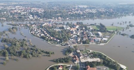 Stanowią zagrożenie dla zdrowia. Ekspertka o grzybach i powodzi