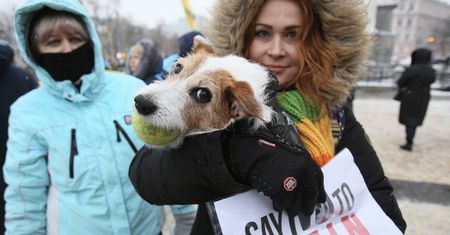 Najpierw Rosja zaatakowała Ukrainę. Teraz mówi o "zgodzie na rozmowy"