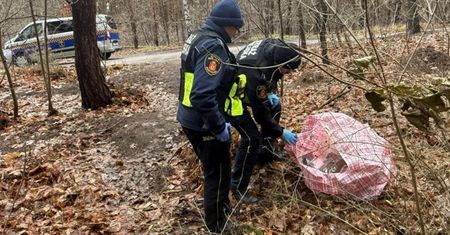 Strażnicy zauważyli tajemniczą torbę przy lesie. Zajrzeli do środka i zdębieli
