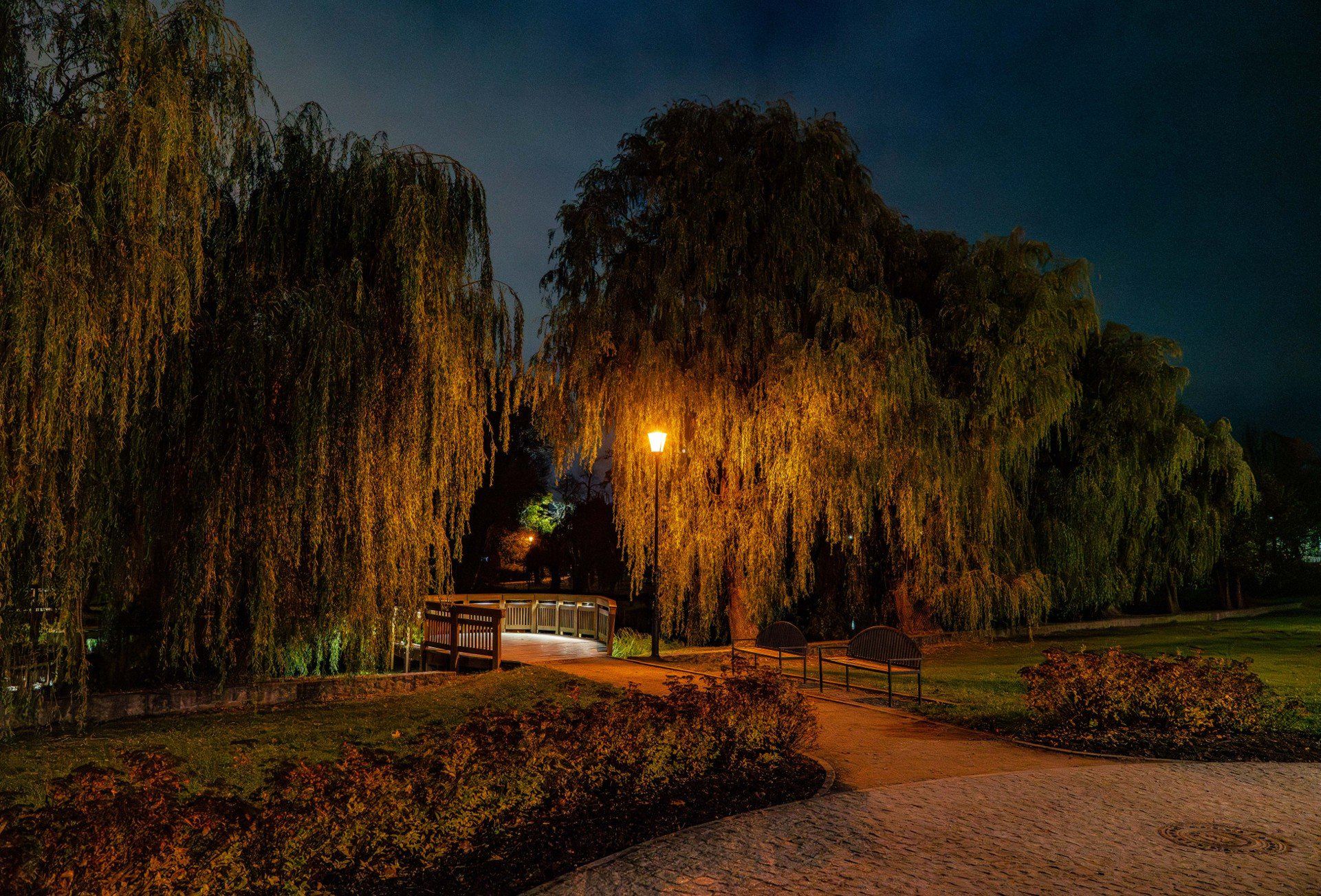 Park Oruński w Gdańsku zachwyca