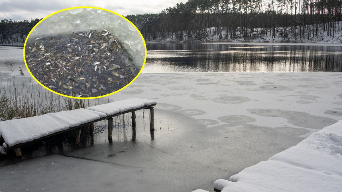 Rybacy i strażacy dotleniają jeziora