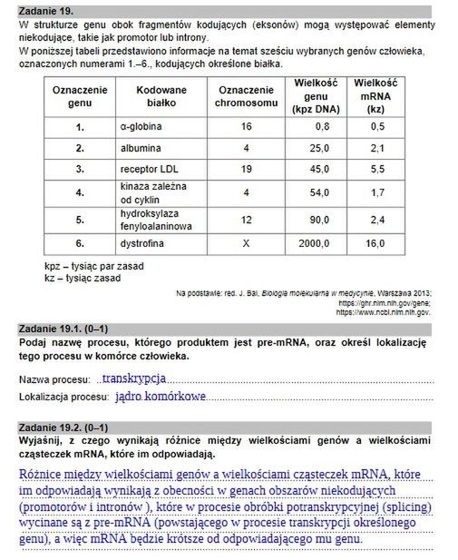 Zadanie 19