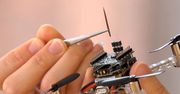 Wojsko USA otrzyma wyjątkowy sprzęt. Smellicopter to połączenie drona z ćmą