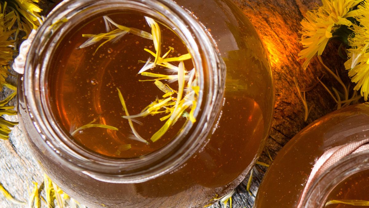 Syrop z mniszka lekarskiego jest dobry na przeziębienie