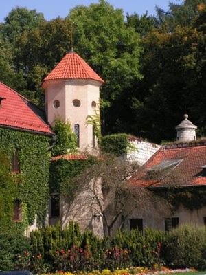 Obraz