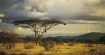 Kenia - powrót do źródeł