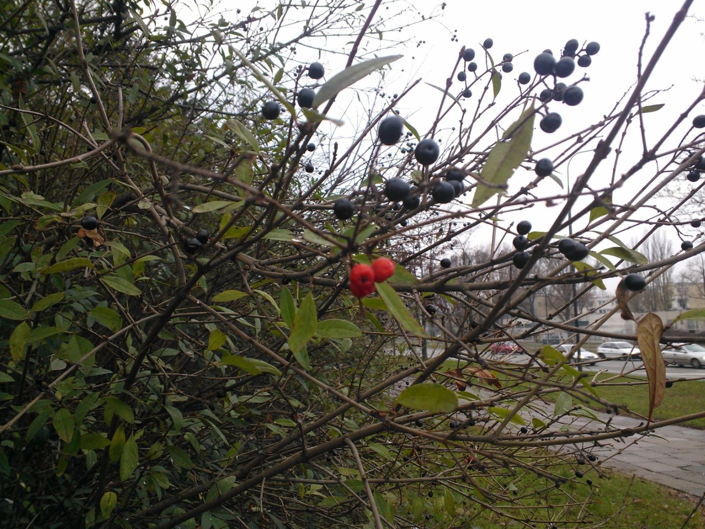 Nokia Lumia 920 - prawdziwy majstersztyk i nadzieja dla WP8 [test] 34