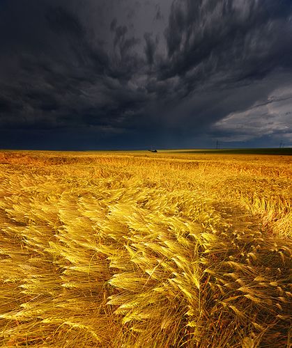 Wakacje na fotografiach - galeria 1