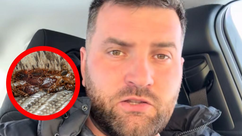 Chowają się w zakamarkach, żywią się krwią. Znak, że masz je w domu