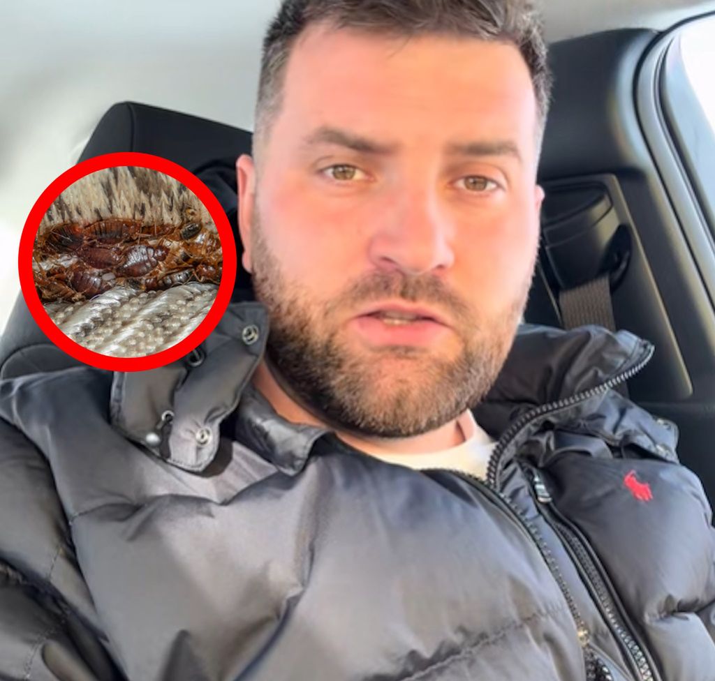 "Pogromca szkodników" zwalcza pluskwy od lat. Oto znaki, że masz je w domu