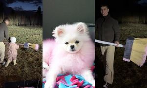 Friz z TRZYLETNIĄ CÓRKĄ straszy dziki... różową farbą. Was też przestało już to bawić?