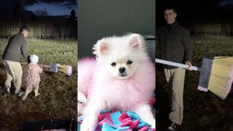 Friz z TRZYLETNIĄ CÓRKĄ straszy dziki... różową farbą. Was też przestało już to bawić?