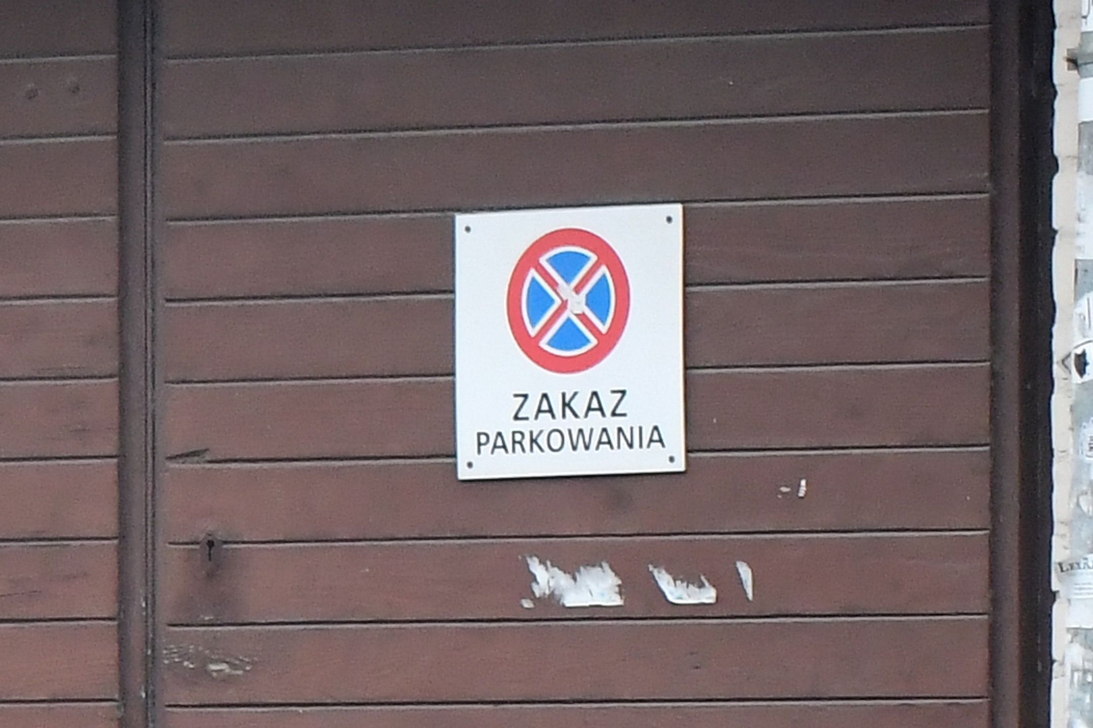 Szofer Joanny Przetakiewicz parkuje bentleyem na zakazie