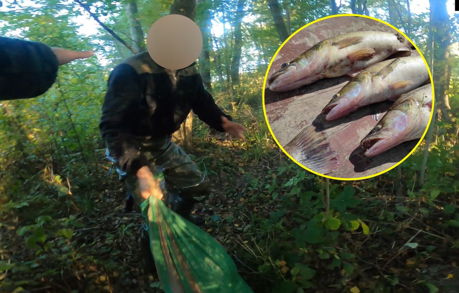 Kłusownik przyłapany na gorącym uczynku 