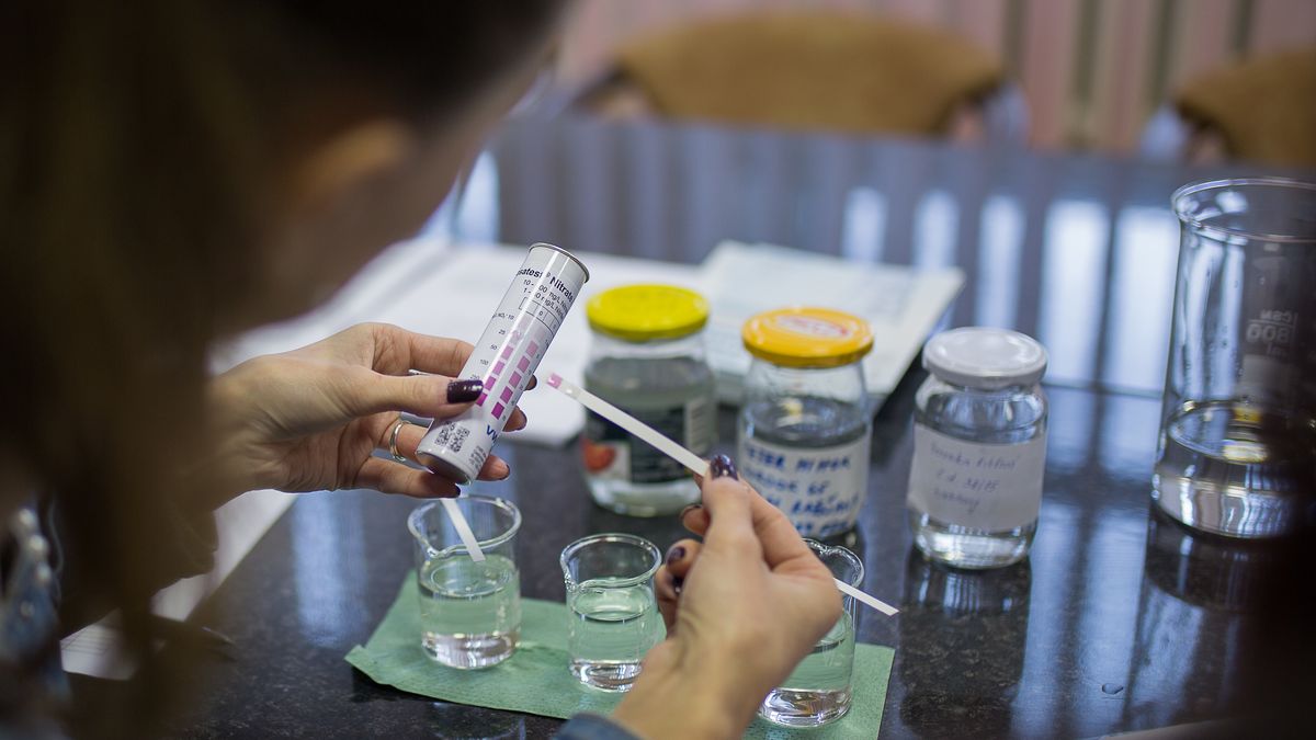 Otaczają nas szkodliwe chemikalia. Jak się chronić?