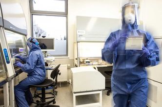 Koronawirus w Polsce. Kolejny zakład mięsny ogniskiem pandemii