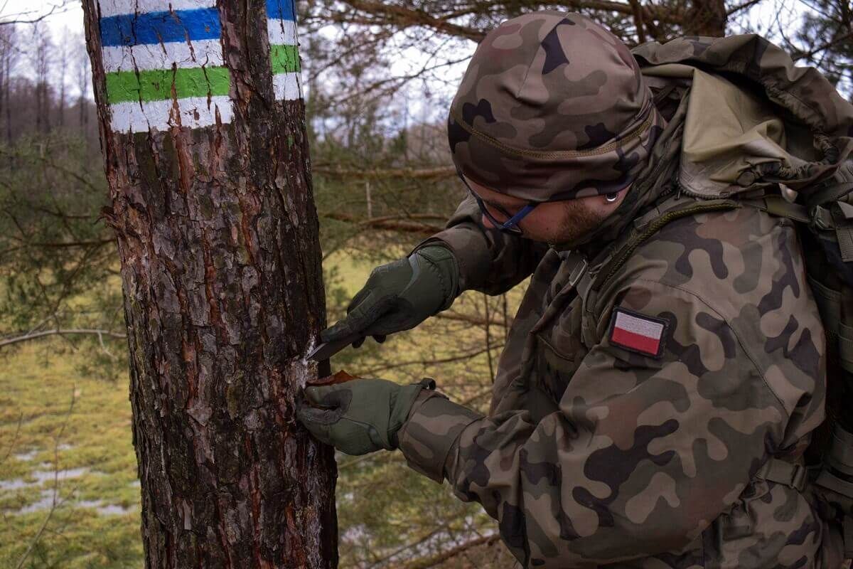 survival, las, strzelec