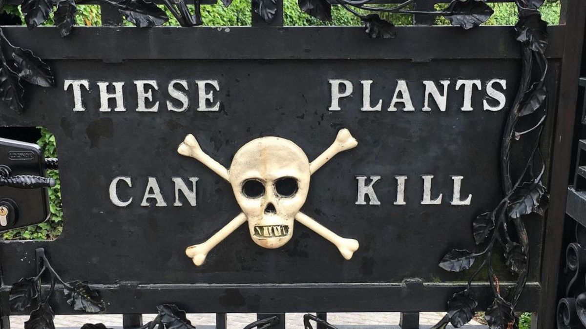 Ogród trucizn.