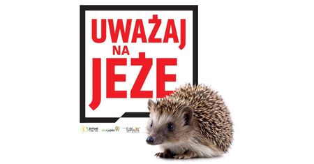 Lublin edukuje najmłodszych. Rusza projekt „Nasza Misja – Bioróżnorodność”