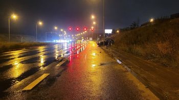 Poznań: Dzik zderzył się z samochodem. Niestety, zwierzę nie przeżyło