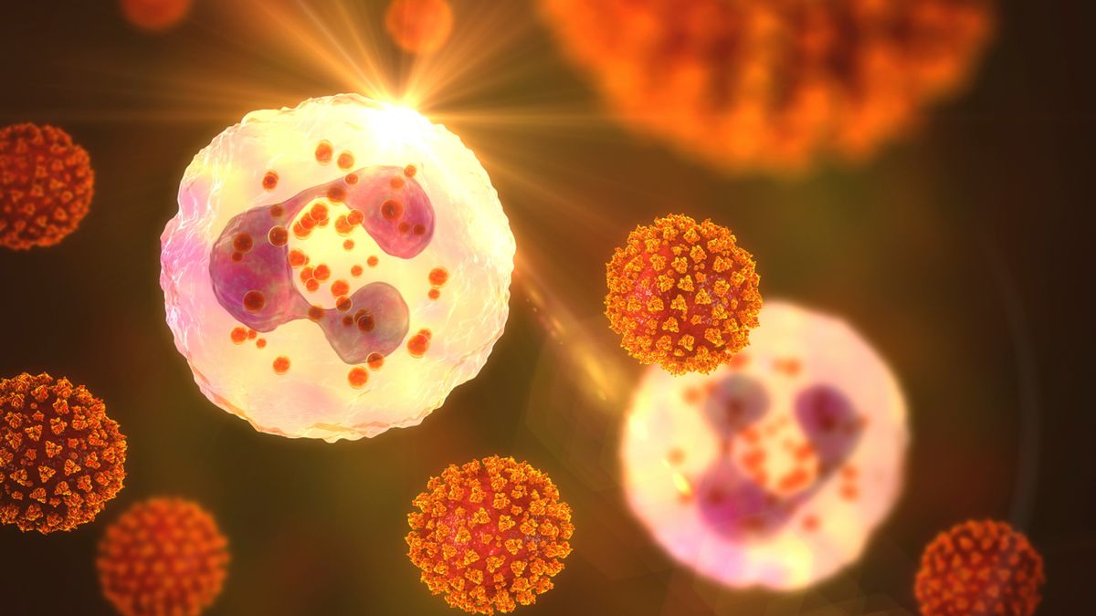 Neutropenia nabyta występuje dużo częściej niż wrodzona