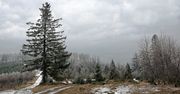 W Beskidach sypie śnieg! Warunki w górach trudne. GOPR ostrzega. Jest ślisko, mała widoczność, szlaki oblodzone. O krokusach można zapomnieć
