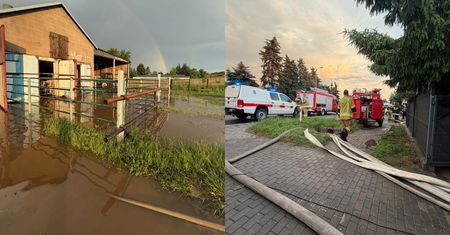 Wielkopolska liczy straty po burzach. Porażający bilans straży