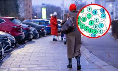 Zima twardo trzyma wschód Polski. W tym tygodniu uderzy mróz do -11 st. C.