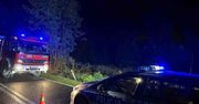 Zgorzelec: Śmiertelny wypadek. Renault dachowało, kierująca zginęła na miejscu, ranne 11-letnie dziecko