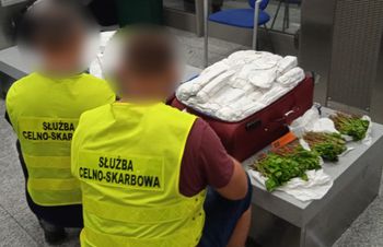 Miały walizki pełne khatu. Rośliny przejęły służby
