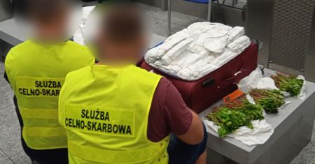 Miały walizki pełne khatu. Rośliny przejęły służby