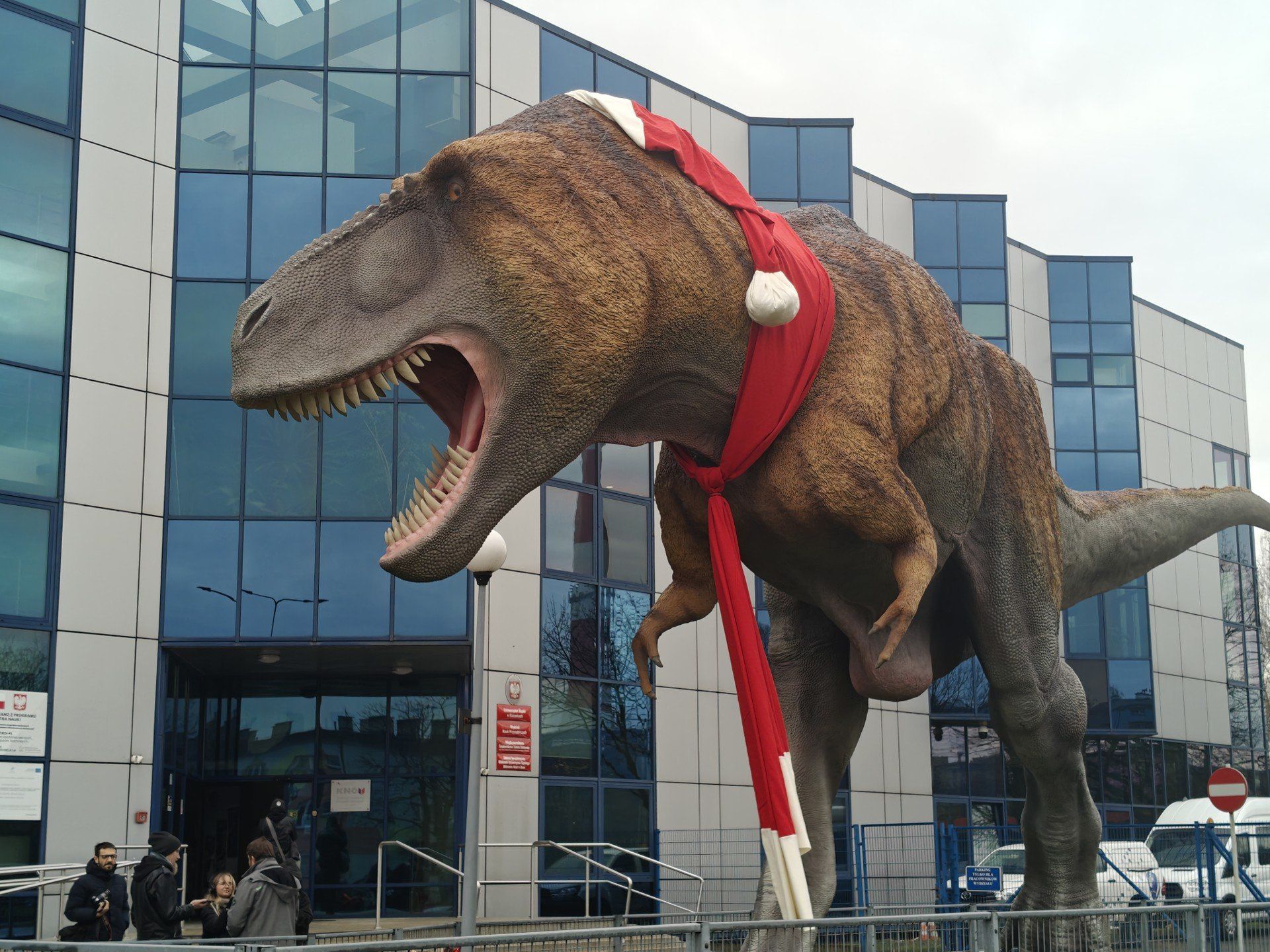 Przewijaj w dół, aby przejść do następnych zdjęć!