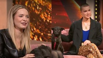 Gwiazdy świętują z nami Dzień Kundelka w "PnŚ". Gałązka mówiła o kulisach adopcji pupila, a Maffashion apelowała: "Adoptowane zwierzę potrzebuje uważności"