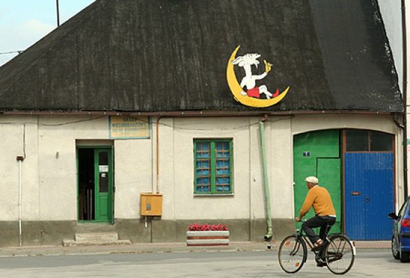 Obraz
