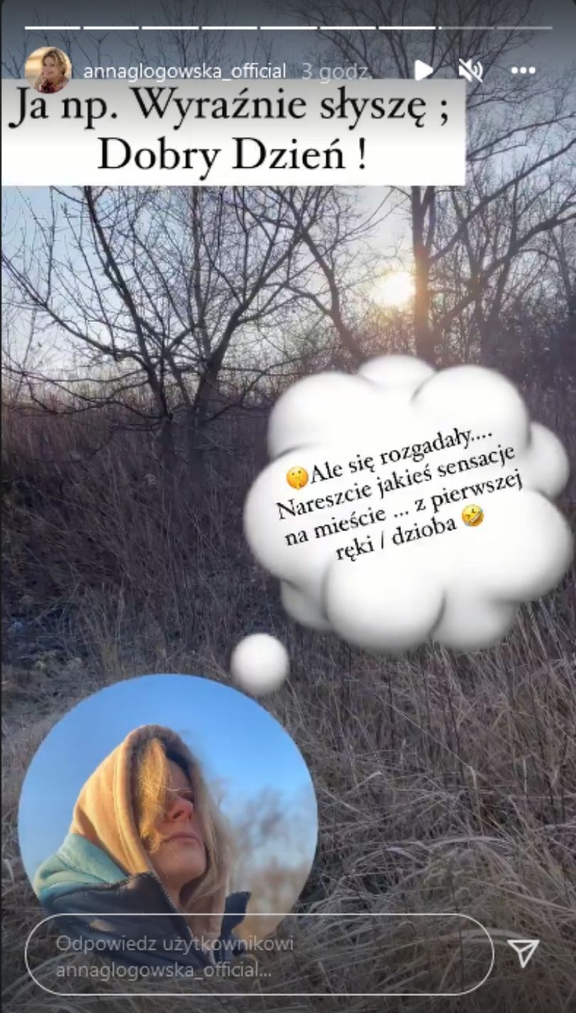 Anna Głogowska komentuje pogłoski o związku z Mikołajem Roznerskim
