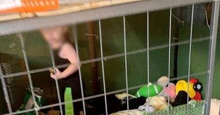Pojechali ratować zwierzęta. W domu znaleźli dziecko w klatce