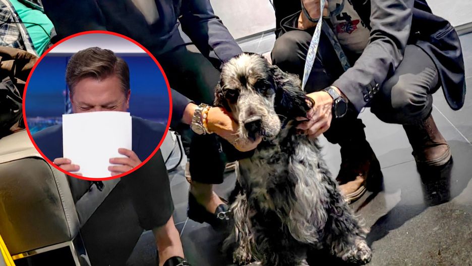 Nietypowy gość w Polsat News