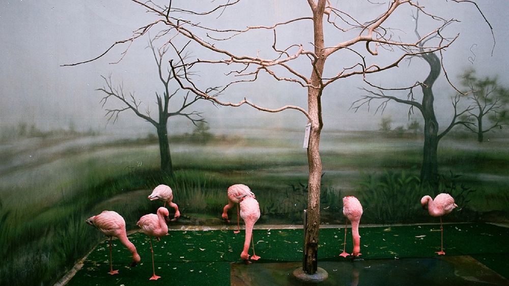 „Ilość obejrzanych zdjęć jest wprost proporcjonalna do jakości zrobionych własnoręcznie” - mówi Piotr Kaczmarek 1