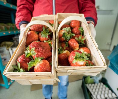 Pierwsze polskie truskawki już w sprzedaży. Ile kosztują? Oto ceny
