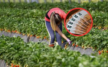 Prawie 13 tys. zł miesięcznie. Szukają Polaków do pracy