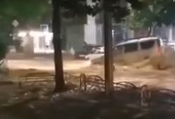 Armagedon w Soczi. Pokazali nagrania