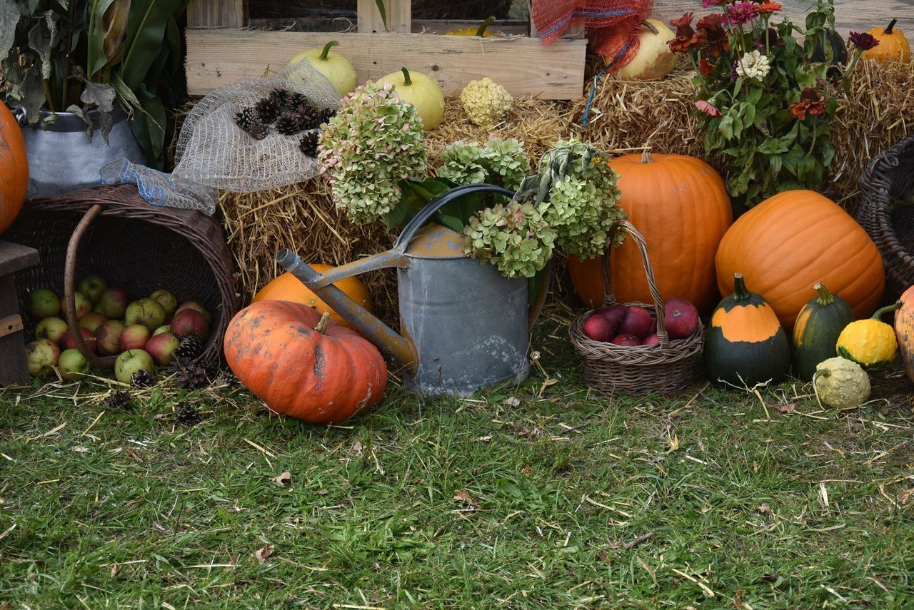 Przed nami zimne noce i przygruntowe przymrozki do -3 stopni