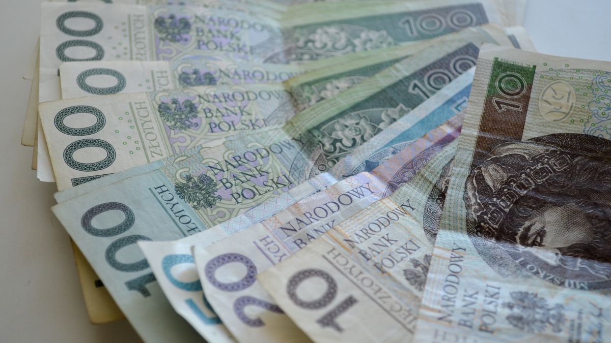 Polish Zloty Banknotes on White Background
Polish zloty banknotes displayed on a white background, showcasing the national currency of Poland. The image emphasizes the financial and economic aspects of Polish money, highlighting its role in transactions, savings, and financial planning.
TannySolt
financial transactions, cash, cash handling, zloty bills, monetary, economic, money, budgeting, financial, finance management, currency notes, money management, polish economy, national banknotes, cash pile, payment, money exchange, banknotes, polish banknotes, polish money, financial security, zloty, zloty currency, legal tender, national currency