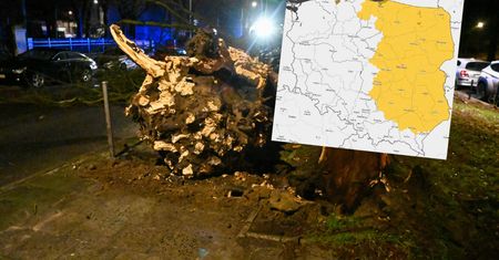 Uwaga na silny wiatr! IMGW wydał alerty dla dziewięciu województw