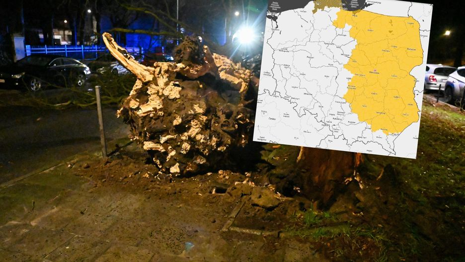 Uwaga na silny wiatr! IMGW wydał alerty dla dziewięciu województw 