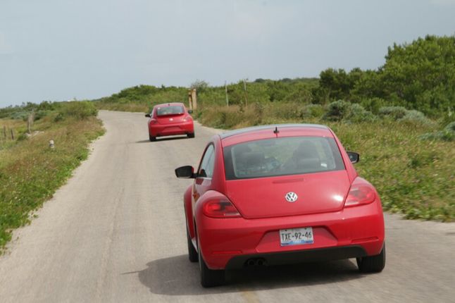 VW Beetle 2012