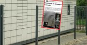 Niesie się zdjęcie z Gdańska. Kot w paczkomacie wywołał burzę